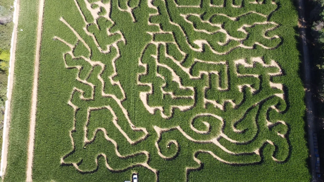 Captured moment at Schmitt's Family Farm