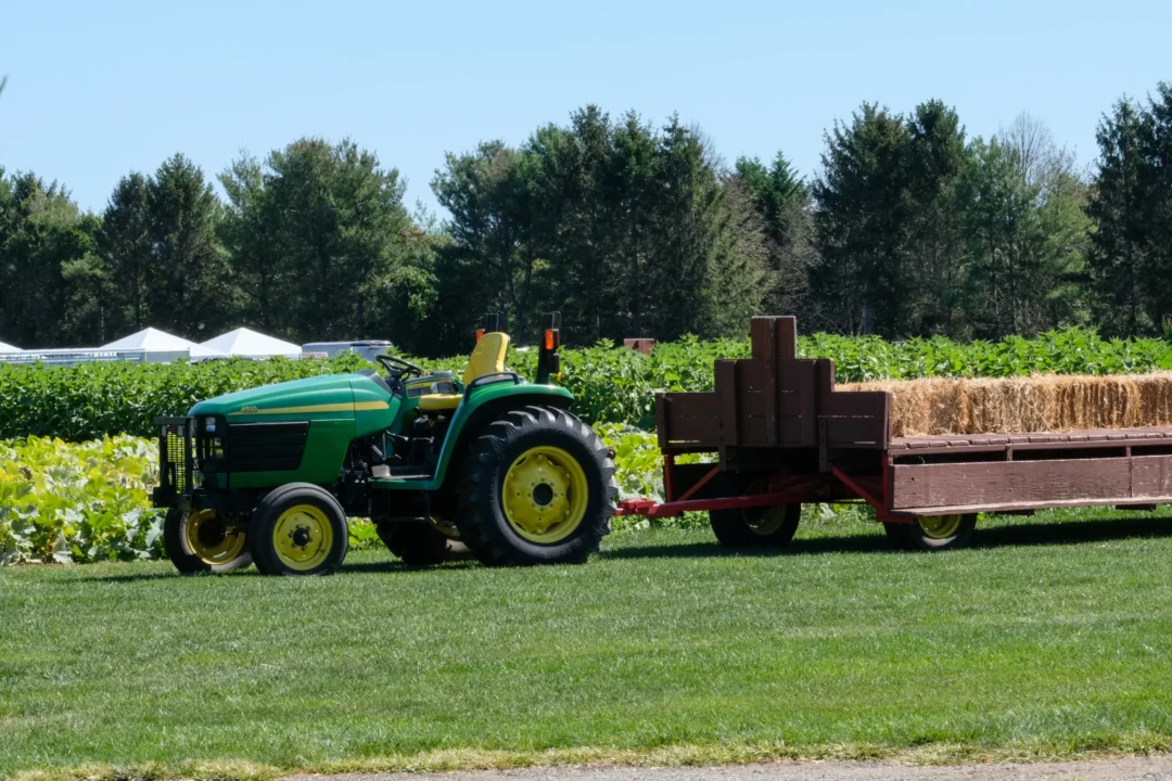 Captured moment at Schmitt's Family Farm