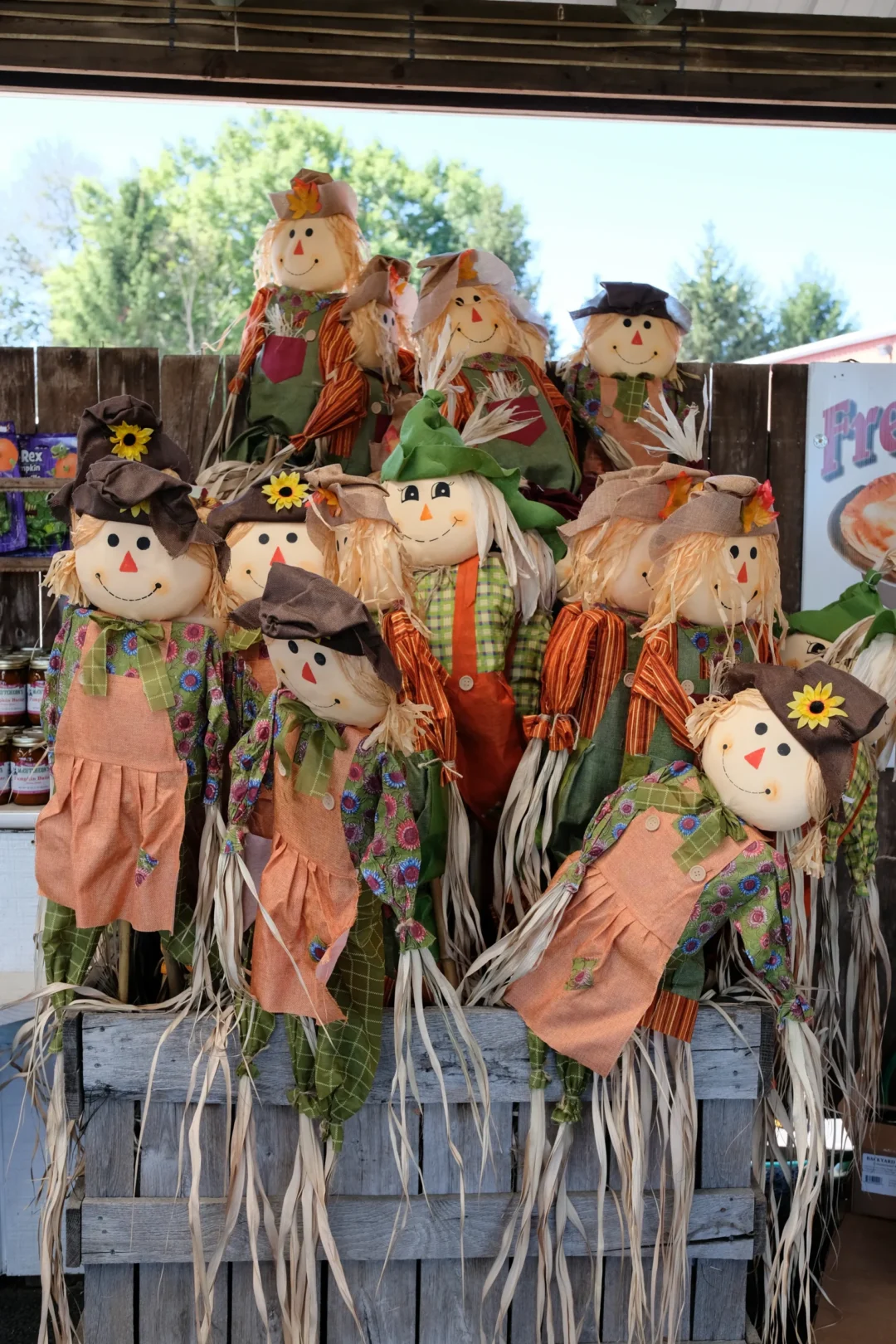 Schmitt's Family Farm photo
