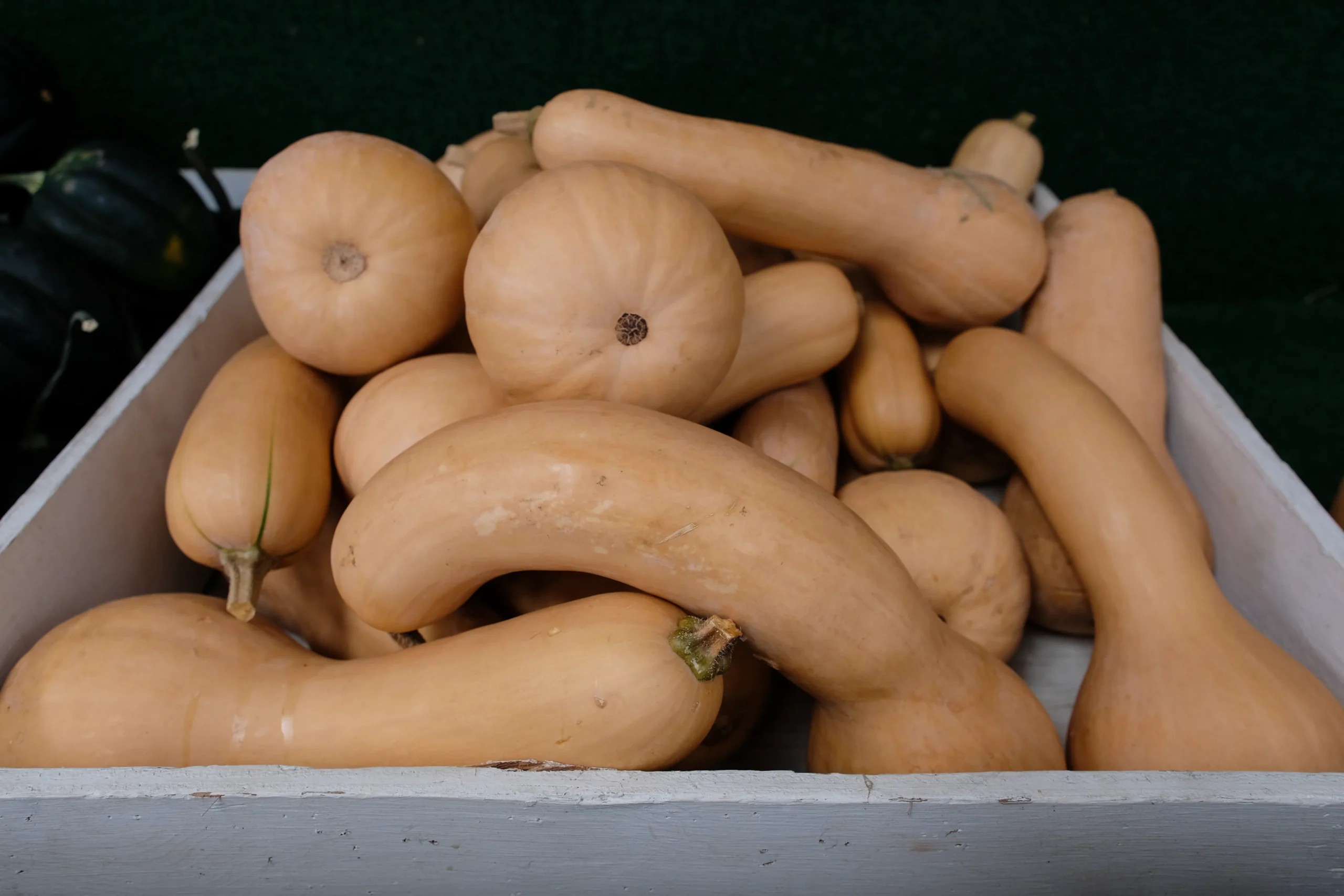 Schmitt's Family Farm photo