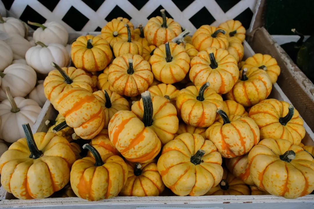 Schmitt's Family Farm photo