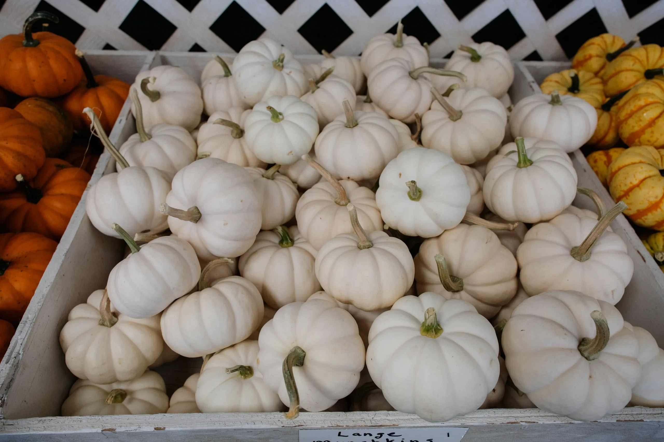 Schmitt's Family Farm photo