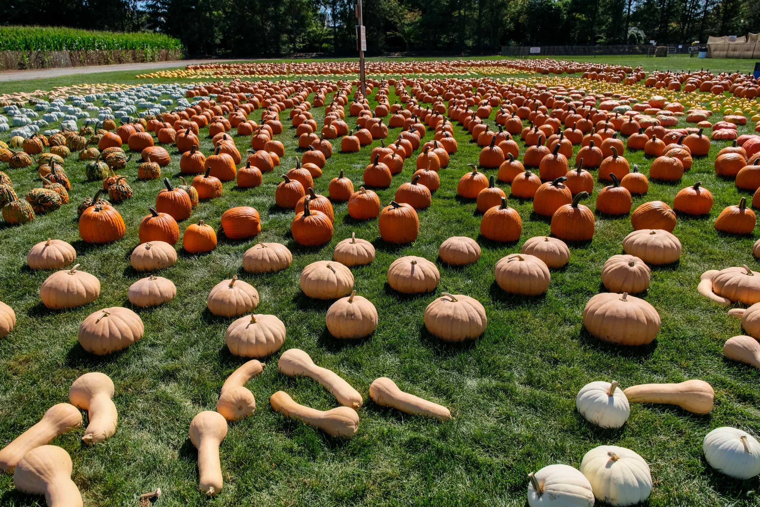 Schmitt's Family Farm photo