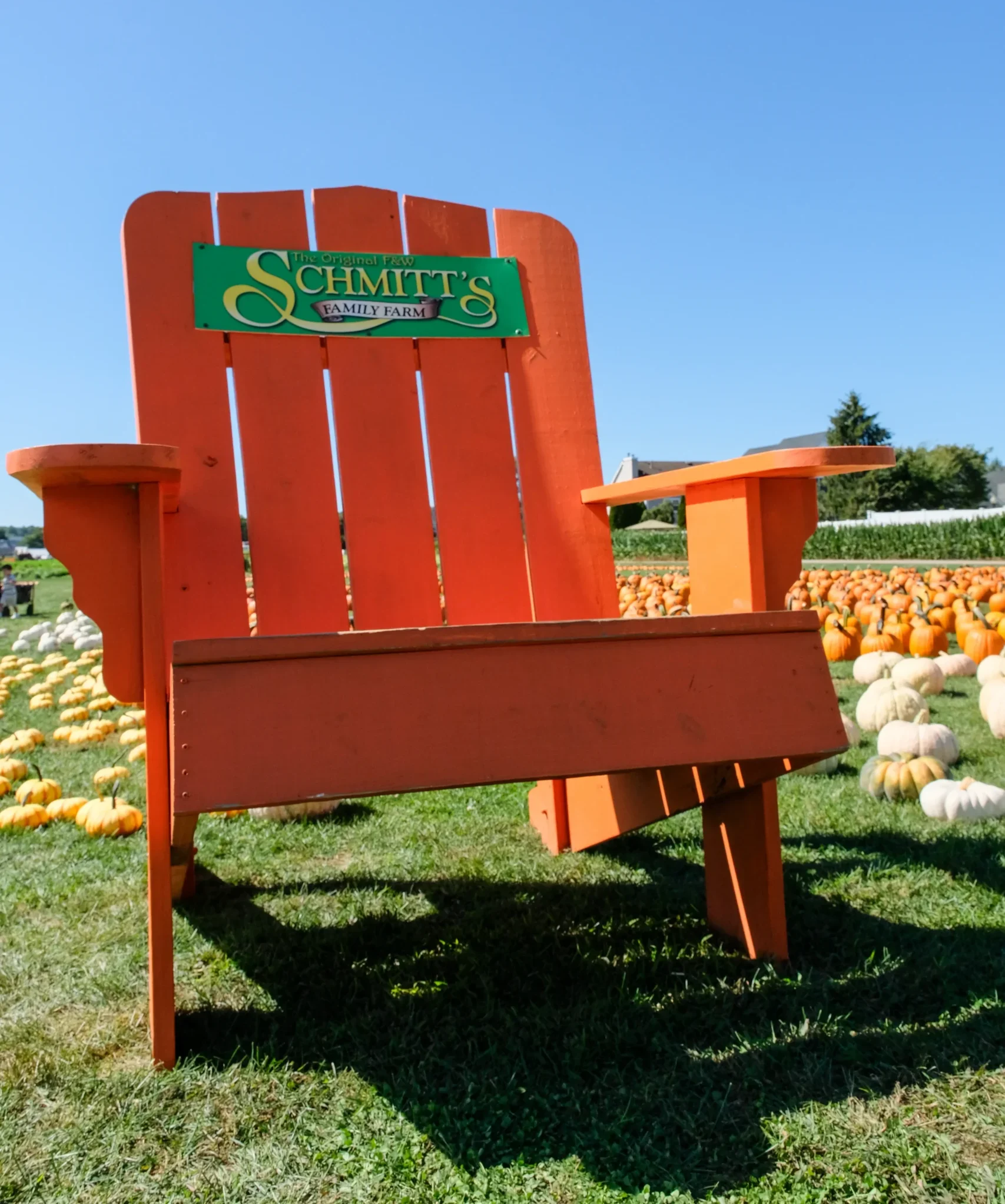 Schmitt's Family Farm photo