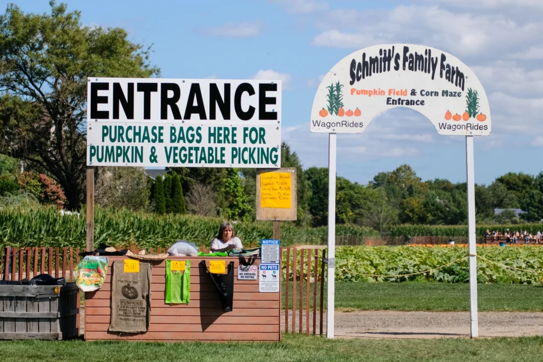 Schmitt's Family Farm photo