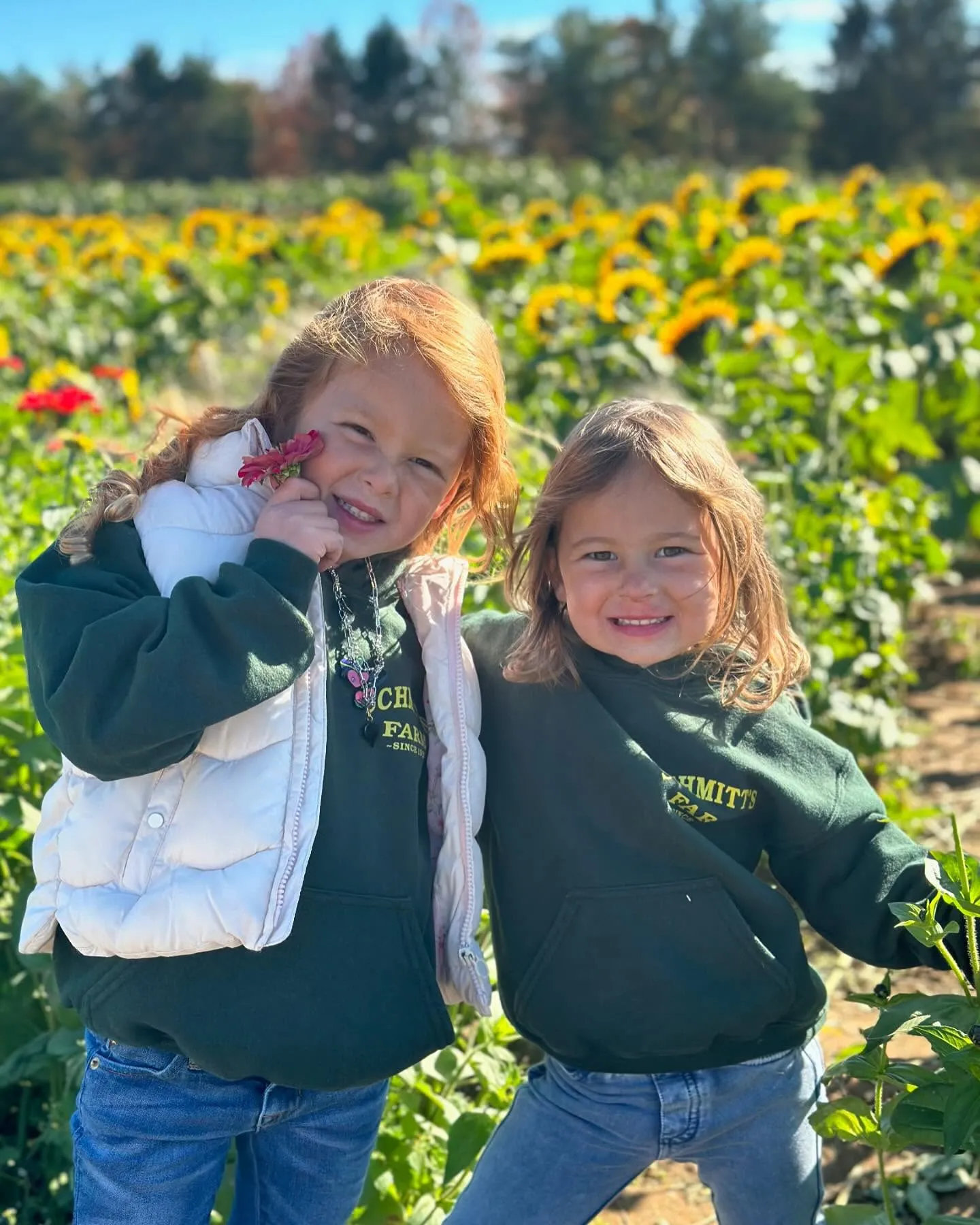 Schmitt's Family Farm photo