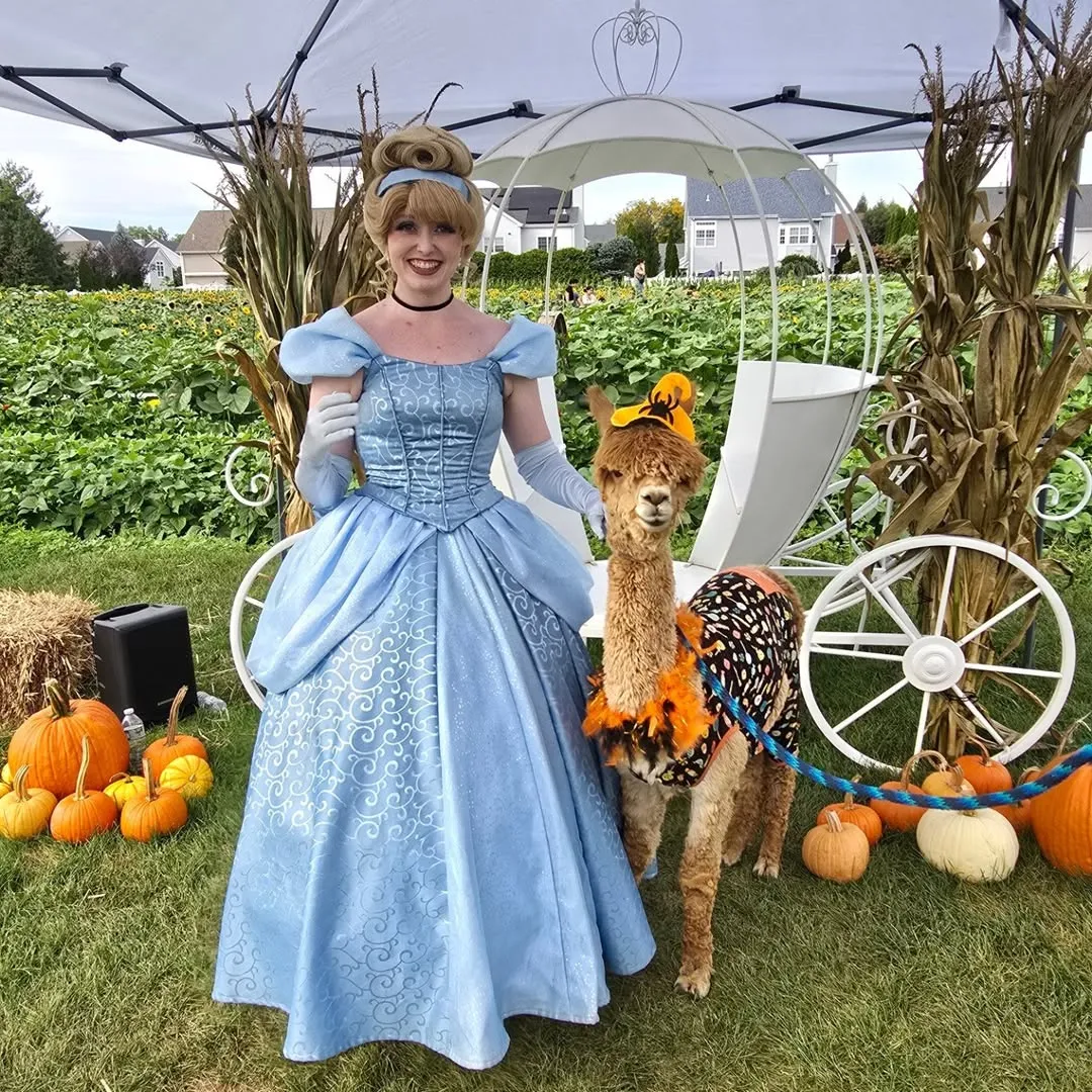 Schmitt's Family Farm photo